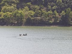 -宁波九龙湖开元度假村