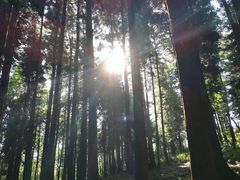 -山王坪喀斯特国家生态公园