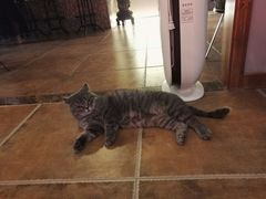 -B.O.M波姆烘焙(凤凰街店)
