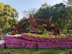 -上海共青森林公园