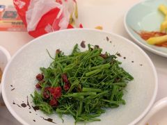 -浦乐汇·汤泉水世界