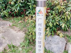 -火炉山森林公园