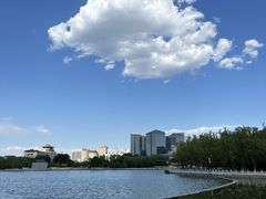 -莲花池公园