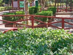 -古塔公园