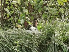 -杭州六谷生态休闲农庄有限公司