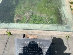 -青龙山生态文化旅游区(慈云寺)