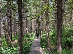 -白草畔自然风景区