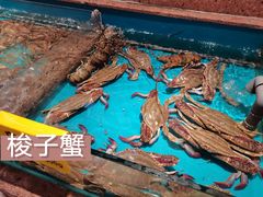 梭子蟹-杭越海鲜(迪荡店)
