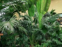 -郑州银基黄帝宫御温泉