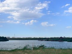 -西青郊野公园