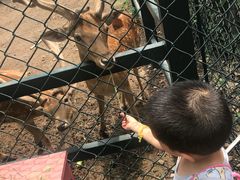 -北京麋鹿生态实验中心