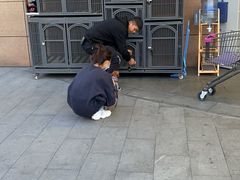 -胖东来生活广场(健康路店)