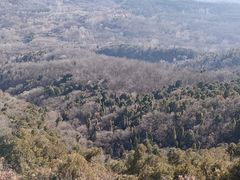-照金香山旅游景区