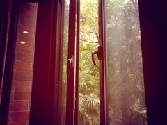 星巴克(红房子店)-星巴克(红房子店)