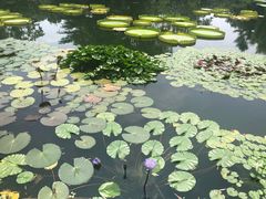 -国家植物园南园