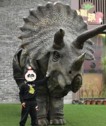 -恐龙探索乐园(磁器口店)