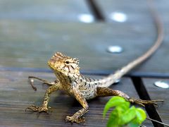 子兮摄影-27._副本-七仙岭君澜度假酒店