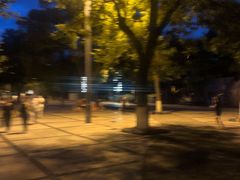 -哈尔滨文化公园