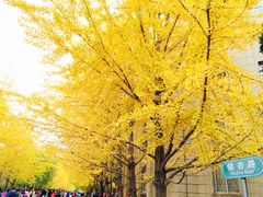 -辽宁大学(崇山校区)