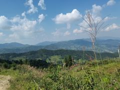 -紫鹊界梯田景区