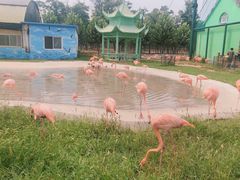 -秦皇岛野生动物园
