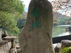 -白马涧龙池景区
