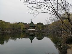 -无锡蠡湖国家湿地公园-蠡园