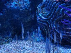 -大连老虎滩海洋公园