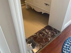 -屋虎猫馆(宝安大仟里店)