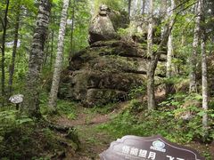 -汤旺河林海奇石景区
