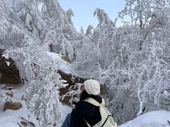 -崂山巨峰游览区