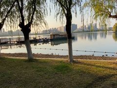 -天鹅湖体育公园