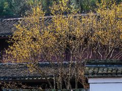 -宁波市保国寺古建筑博物馆