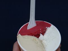 -Dip in Gelato(富民路店)