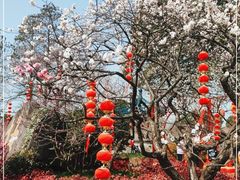 -无锡梅园公园