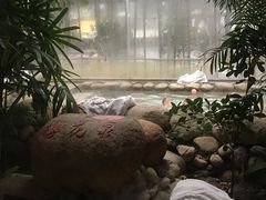 -三江森林温泉度假区