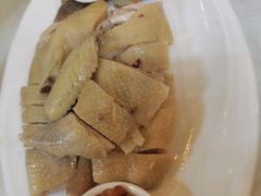 -清新鸡沙田乳鸽店(金融店)