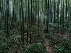 -南山风景名胜区