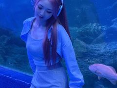 -左海海底世界