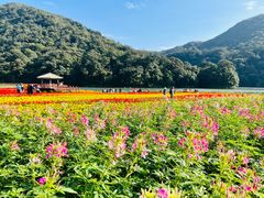-广州市石门国家森林公园