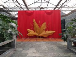 -保定金沙芝柏婚礼策划