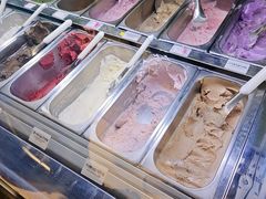 -鹤茶野所(上海首店)