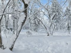 -雾凇岛
