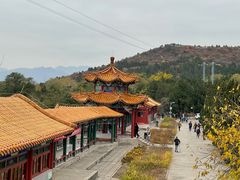 -北京十三陵国家森林公园蟒山景区