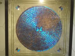 iphone_upload_pic-上海昆虫博物馆