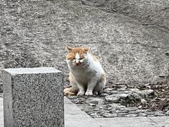 -华山风景名胜区