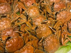 -鑫巴蜀小镇 · 水煮鱼专研店(玉桥店)