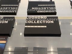 -罗红摄影艺术馆