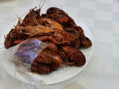 -江门新会碧桂园凤悦凤凰酒店(万达广场店)