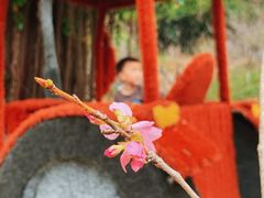 -求水山公园